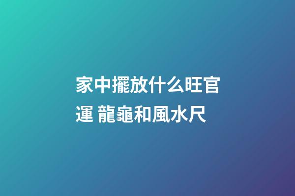 家中擺放什么旺官運 龍龜和風水尺